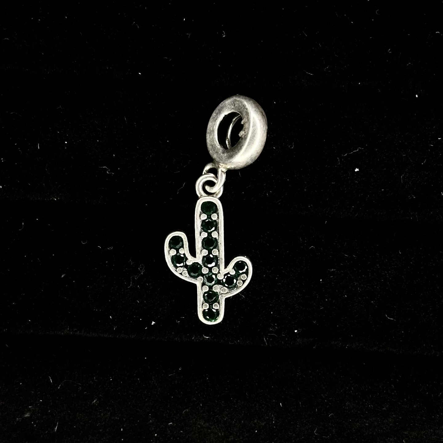 CHARM ESTILO CACTUS